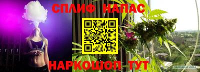 ешки Шебекино