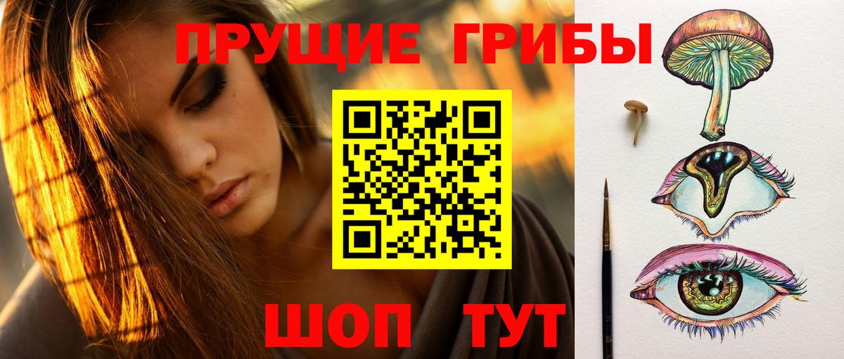 Галлюциногенные грибы Psilocybe Ирбит